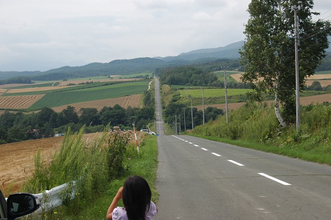 f:id:hokkaido_syndrome:20200705160256j:plain f:id:hokkaido_syndrome:20200705160256j:plain