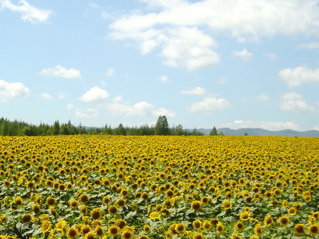 f:id:hokkaidohighway:20180213192231j:image f:id:hokkaidohighway:20180213192231j:image