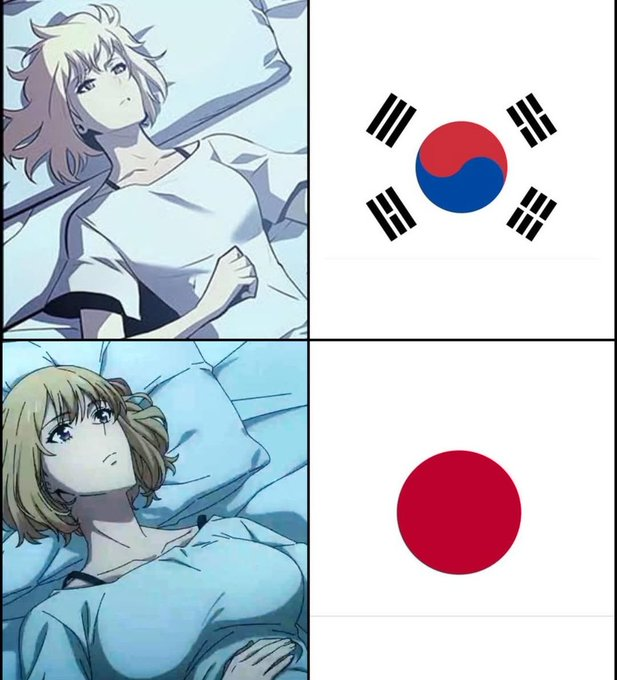 画像の上半分は左に原作漫画のヒロインが寝そべるバストショット、右に韓国の国旗。画像の下半分は、左側に同じヒロインが寝そべるバストショットで、構図をあわせているが胸が大きめで、右に日本の国旗。