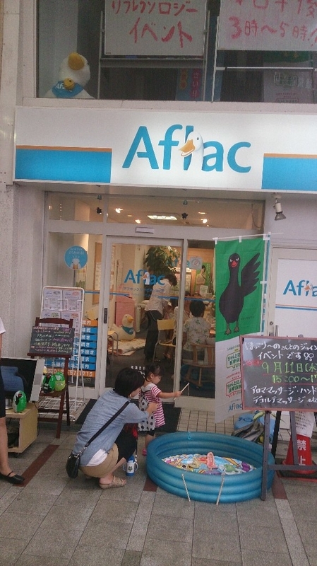 イメージ 7