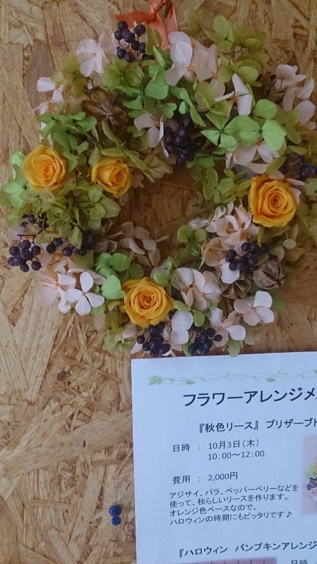 イメージ 8