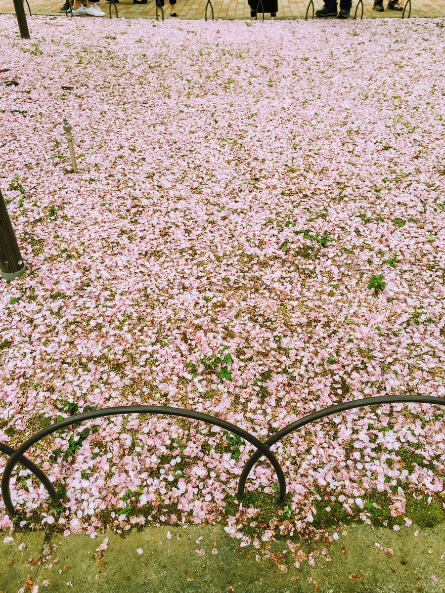 f:id:hokkori32:20210410230052j:plain