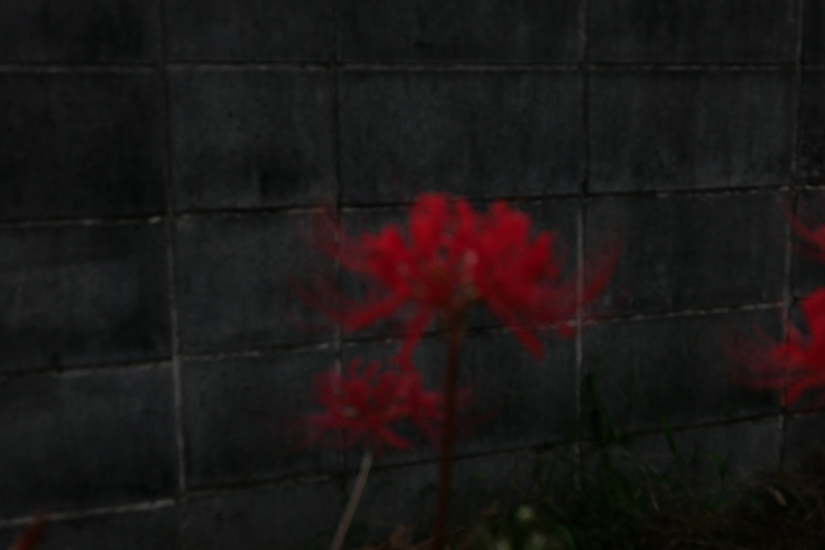 f:id:hokonoppo8124:20190914190004j:plain