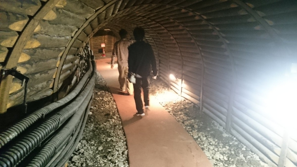 f:id:hokudaitetsuken:20180526185515j:plain f:id:hokudaitetsuken:20180526185515j:plain