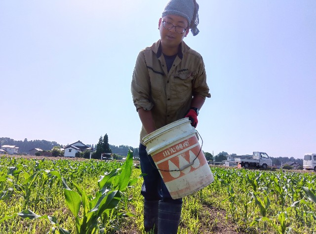 f:id:hokueiblog:20250622063416j:image