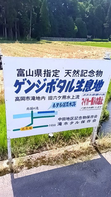 f:id:hokueiblog:20250622063835j:image