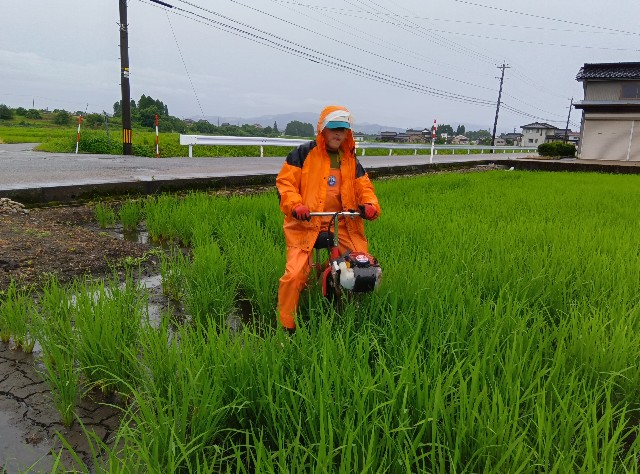 f:id:hokueiblog:20250628035640j:image