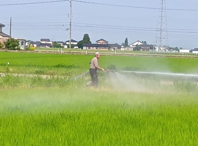 f:id:hokueiblog:20250708062910j:image