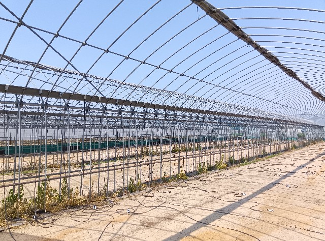 f:id:hokueiblog:20250708063141j:image