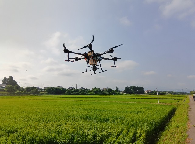 f:id:hokueiblog:20250721105249j:image