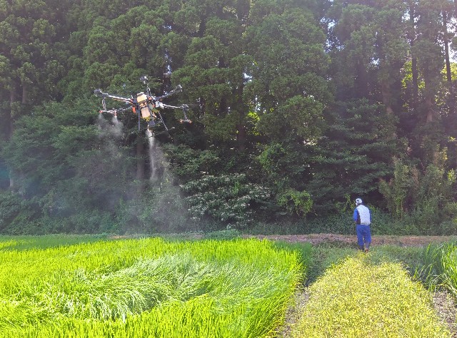 f:id:hokueiblog:20250804063742j:image