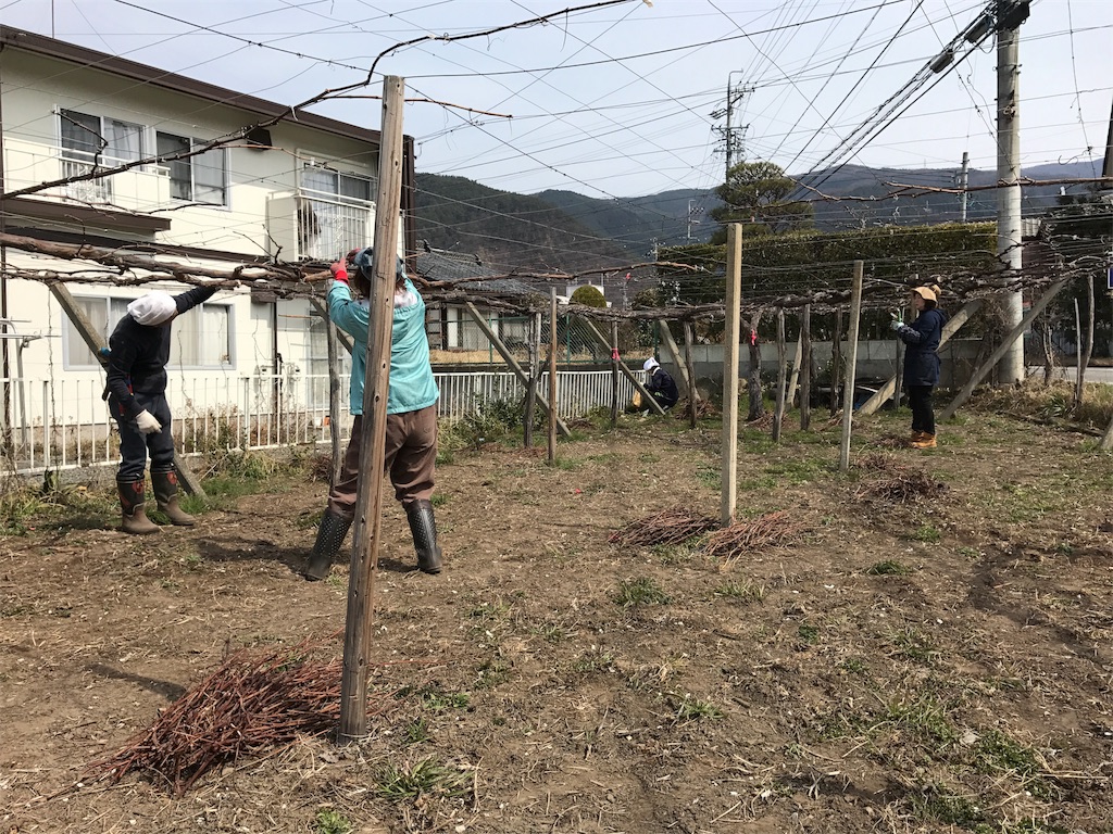 f:id:hokuhokudo77:20170318161010j:image f:id:hokuhokudo77:20170318161010j:image
