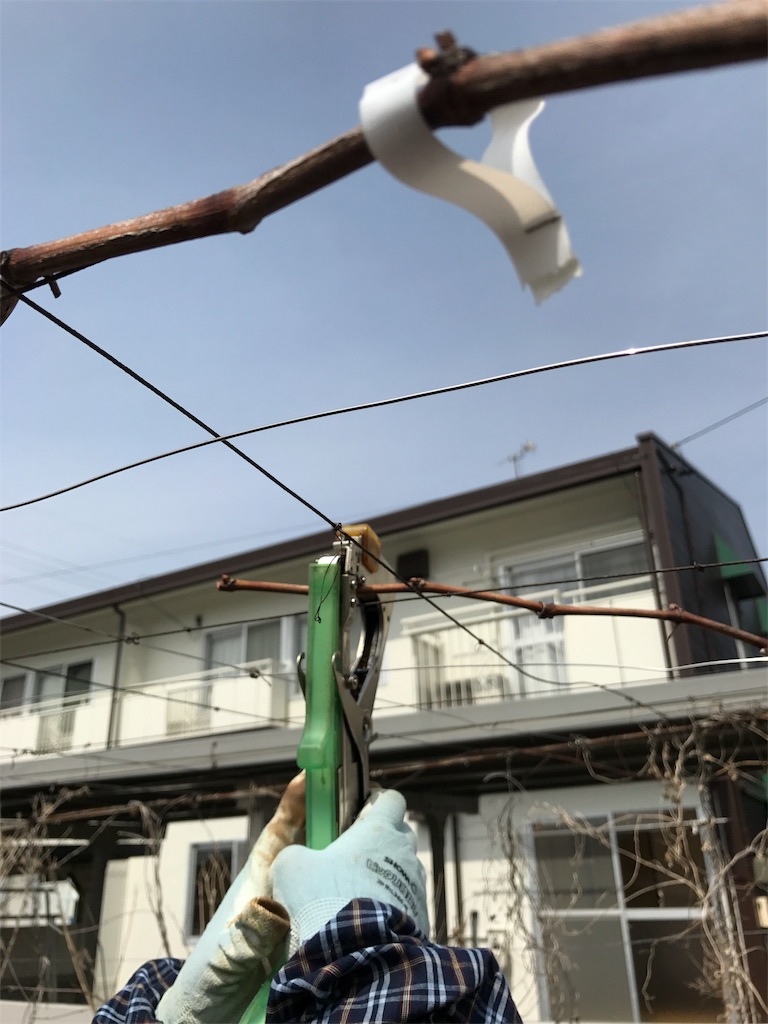 f:id:hokuhokudo77:20170318161213j:image f:id:hokuhokudo77:20170318161213j:image