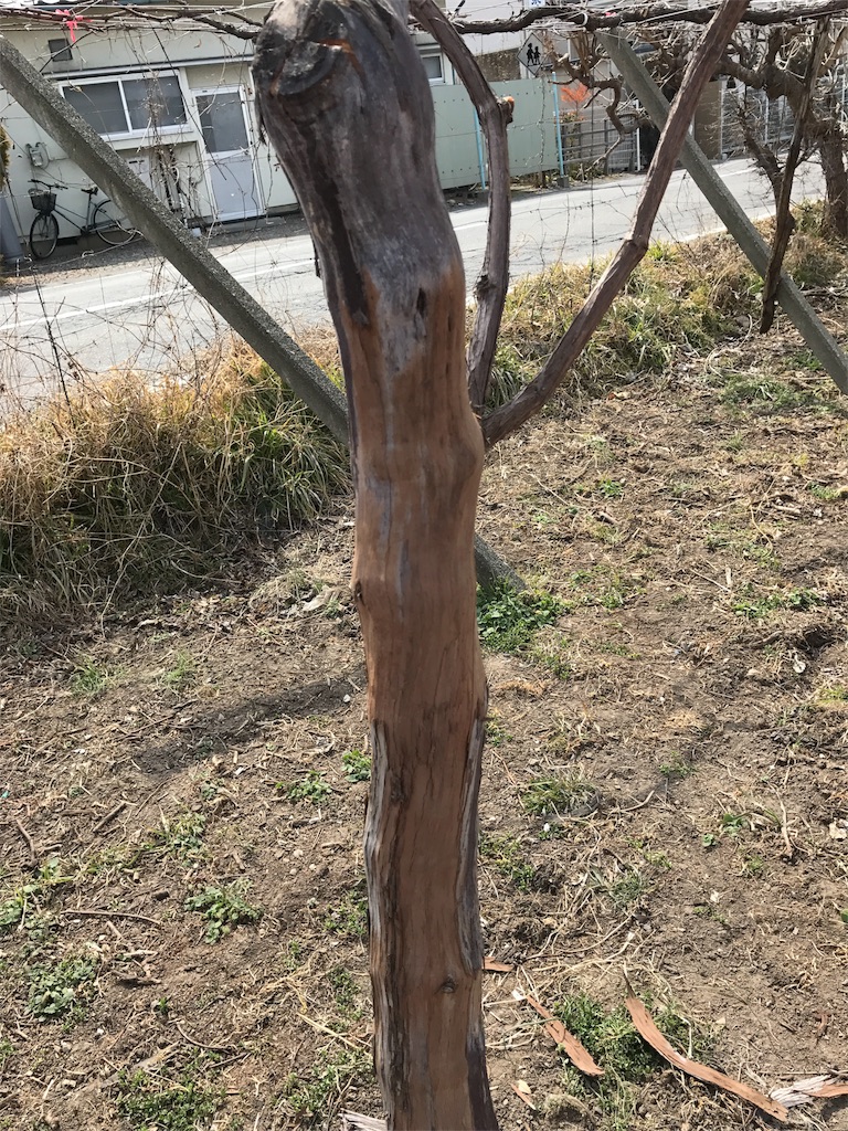 f:id:hokuhokudo77:20170318161749j:image f:id:hokuhokudo77:20170318161749j:image