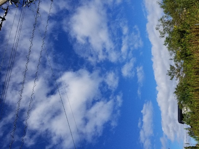 f:id:hokuriku_dodo:20180924160438j:image f:id:hokuriku_dodo:20180924160438j:image