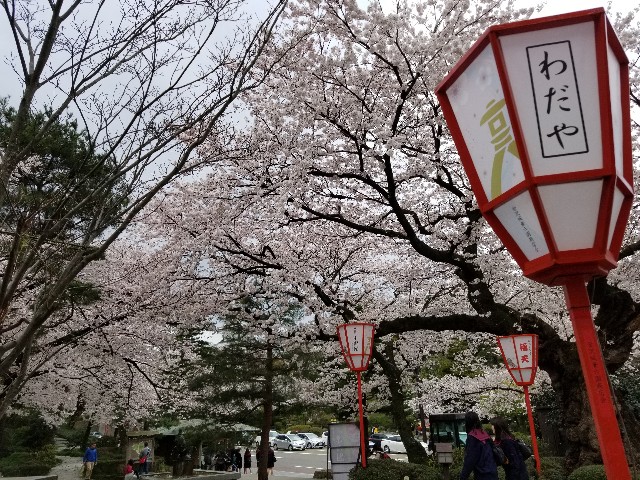 f:id:hokuriku_dodo:20190416231632j:image f:id:hokuriku_dodo:20190416231632j:image
