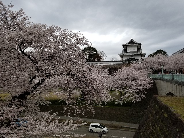 f:id:hokuriku_dodo:20190416231657j:image f:id:hokuriku_dodo:20190416231657j:image