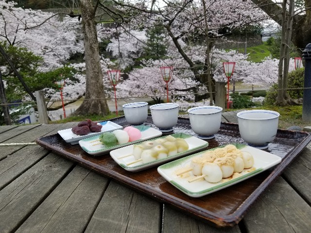 f:id:hokuriku_dodo:20190416231735j:image f:id:hokuriku_dodo:20190416231735j:image