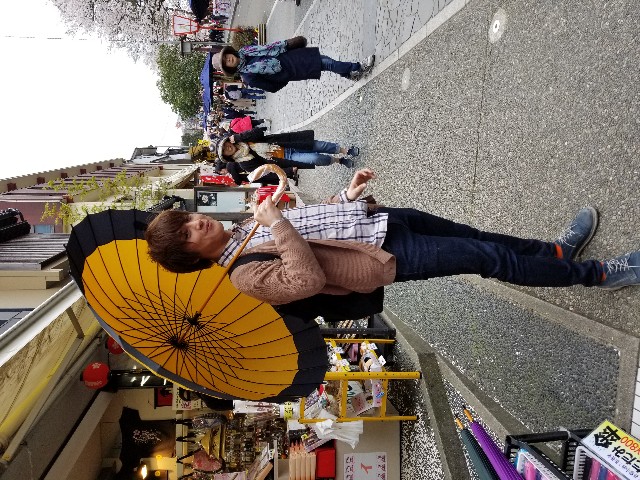 f:id:hokuriku_dodo:20190416231755j:image f:id:hokuriku_dodo:20190416231755j:image