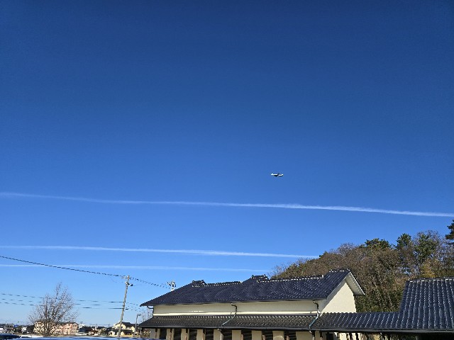 f:id:hokuriku_dodo:20250120184054j:image