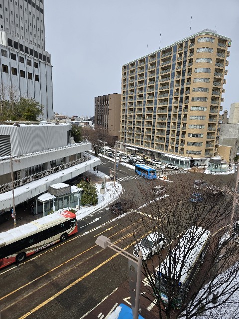 f:id:hokuriku_dodo:20250224145515j:image