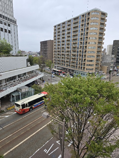f:id:hokuriku_dodo:20250420230133j:image