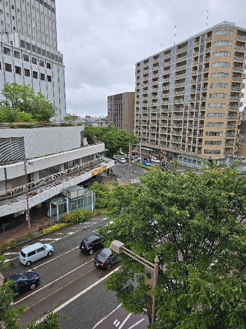 f:id:hokuriku_dodo:20250525223901j:image
