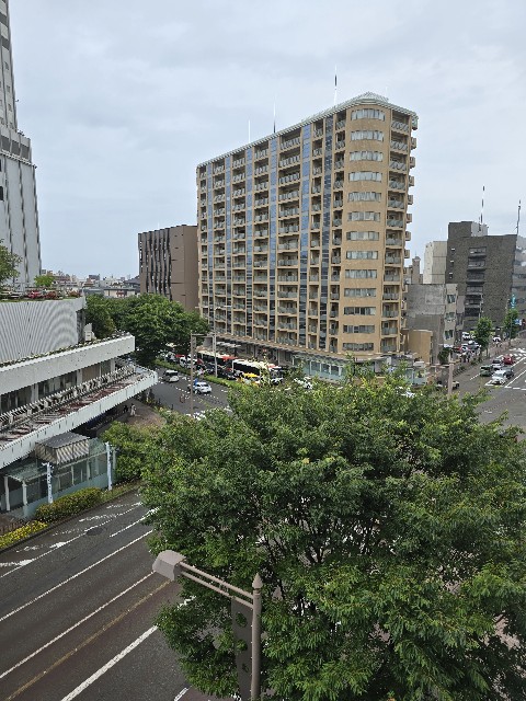 f:id:hokuriku_dodo:20250616132730j:image