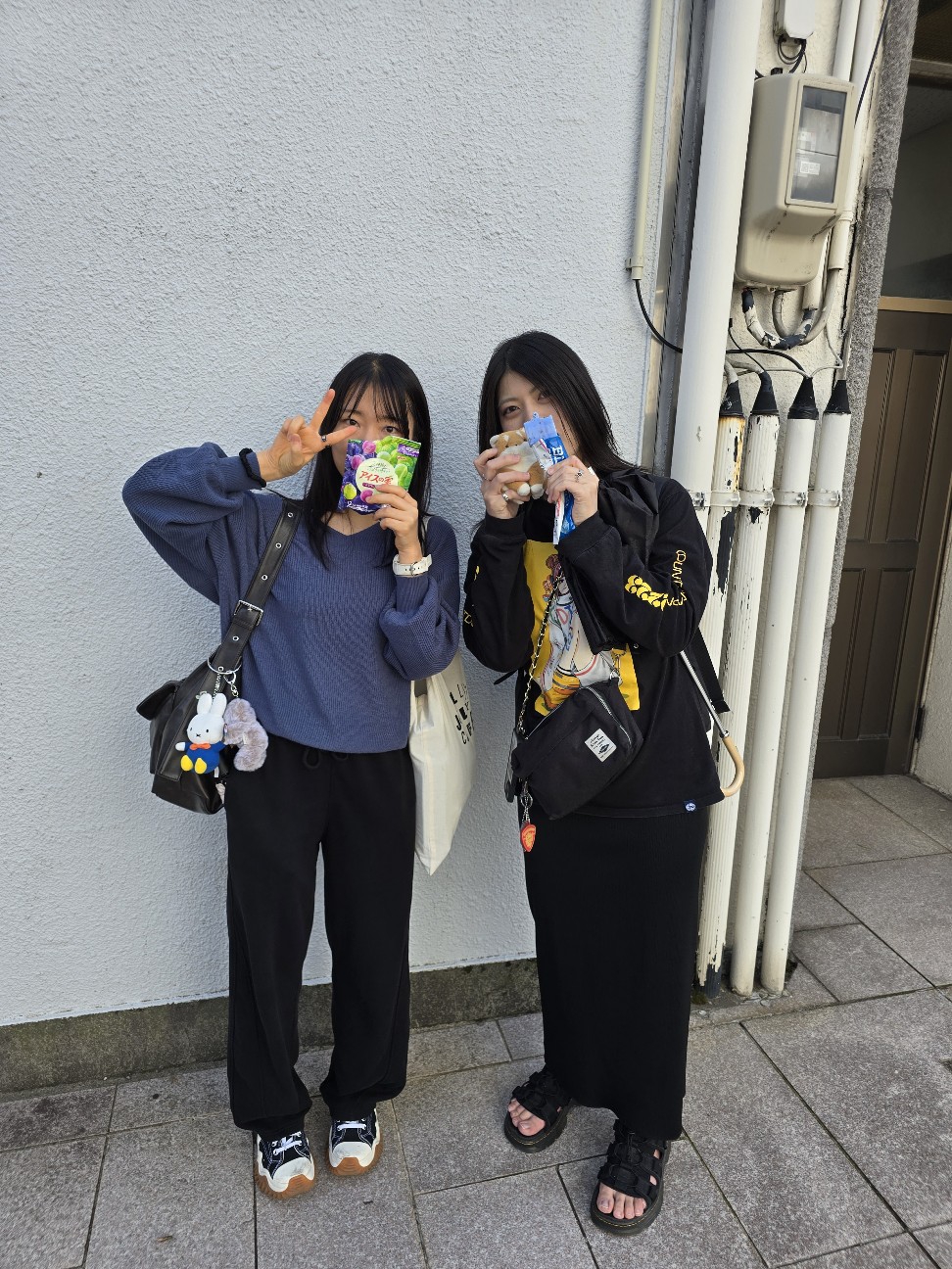 f:id:hokuriku_dodo:20260420122656j:image