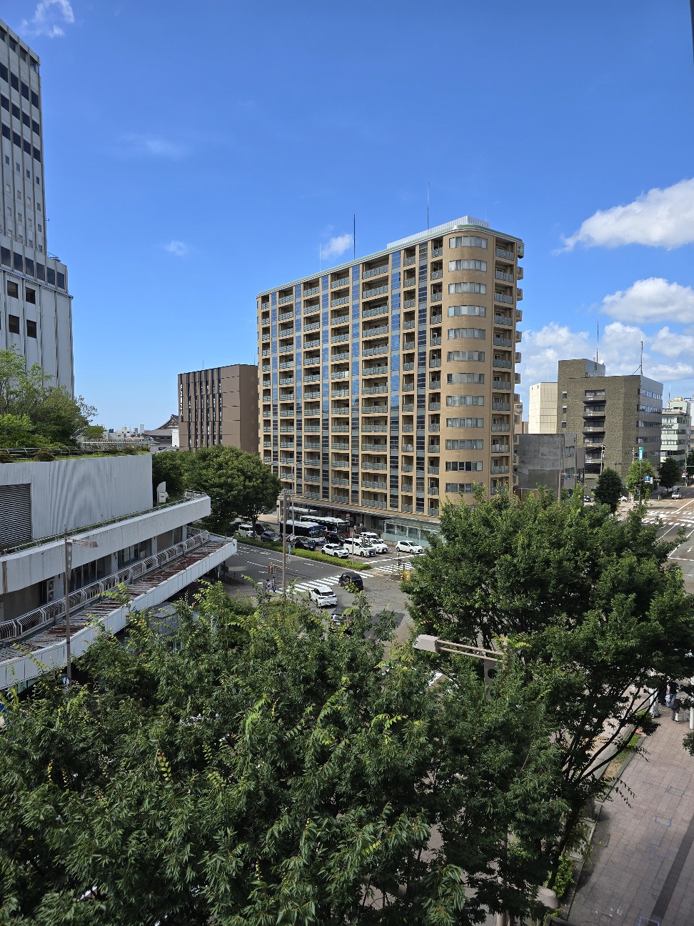 f:id:hokuriku_dodo:20260628222046j:image