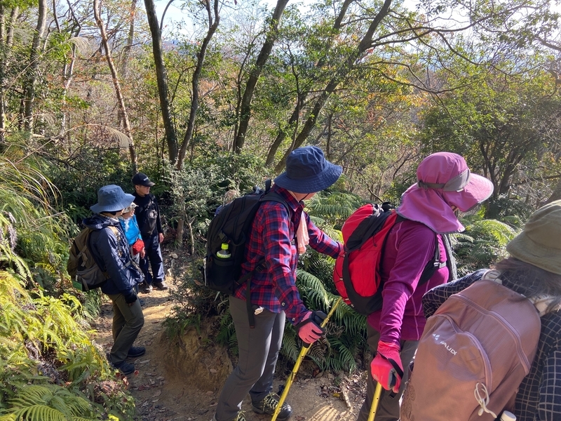 f:id:hokusetuyamazakura:20191210004011j:plain f:id:hokusetuyamazakura:20191210004011j:plain