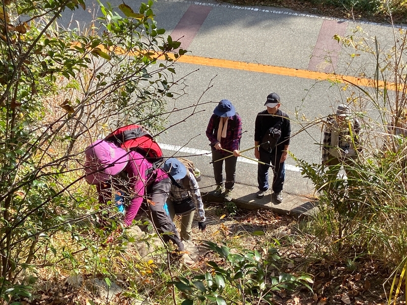 f:id:hokusetuyamazakura:20191210004101j:plain f:id:hokusetuyamazakura:20191210004101j:plain