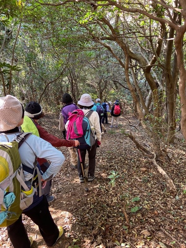 f:id:hokusetuyamazakura:20191230023801j:plain f:id:hokusetuyamazakura:20191230023801j:plain