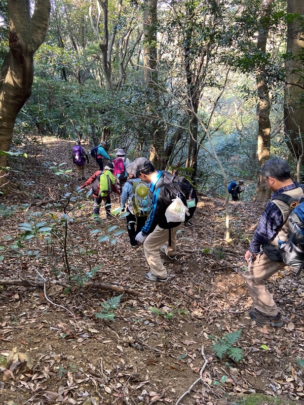 f:id:hokusetuyamazakura:20191230023820j:plain f:id:hokusetuyamazakura:20191230023820j:plain