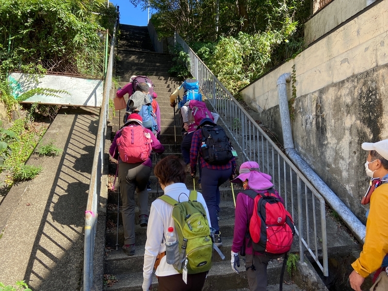 f:id:hokusetuyamazakura:20201030145318j:plain