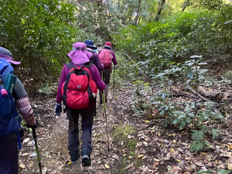 f:id:hokusetuyamazakura:20201030151740j:plain