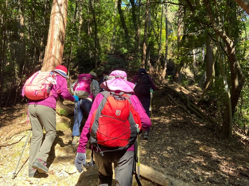 f:id:hokusetuyamazakura:20201030151844j:plain