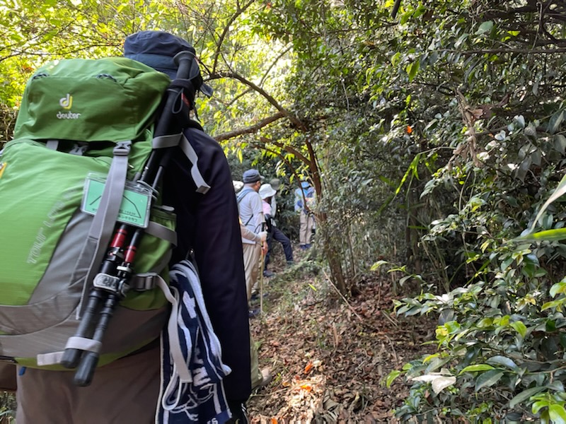 f:id:hokusetuyamazakura:20211009214804j:plain