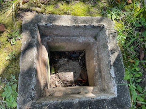 f:id:hokusetuyamazakura:20211009215046j:plain