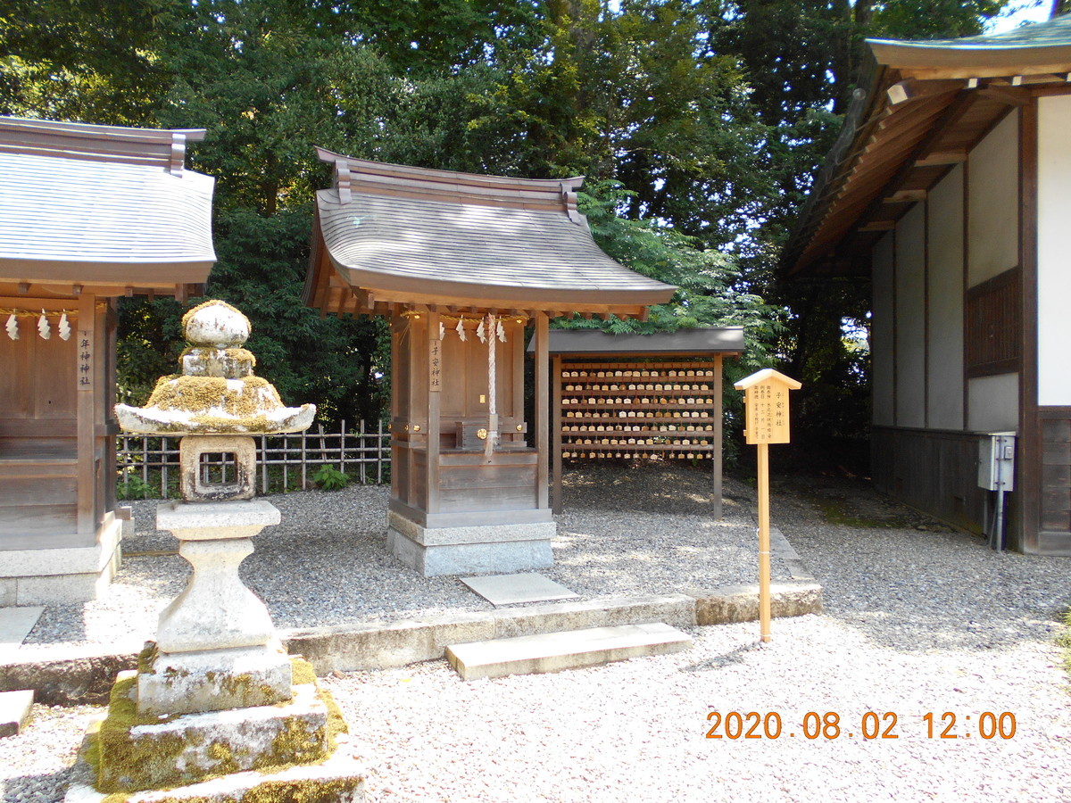 革命家金井南龍 - 北斗柄の占いについて思うこと