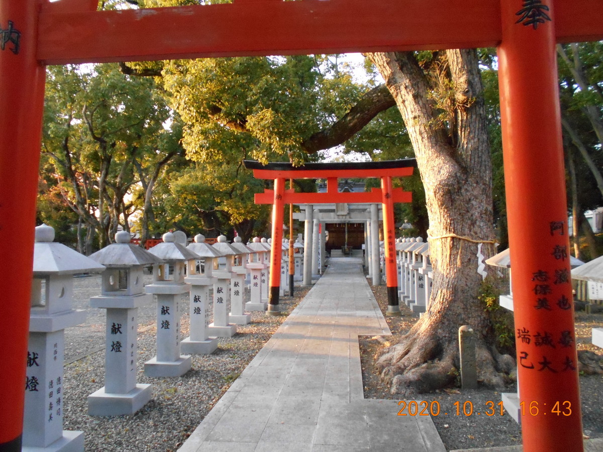 f:id:hokuto-hei:20201103223554j:plain