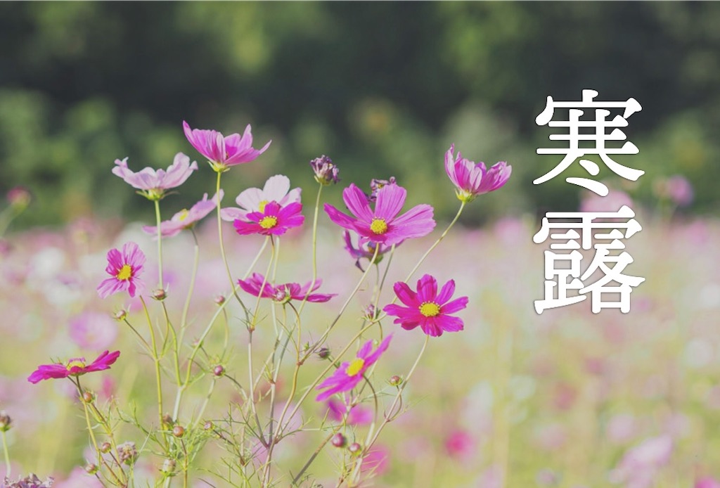 f:id:hokuto5819:20251006131038j:image