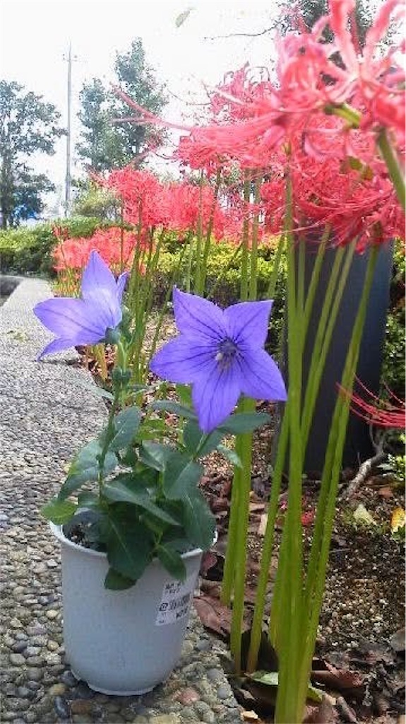 f:id:hokuto5819:20251006131205j:image