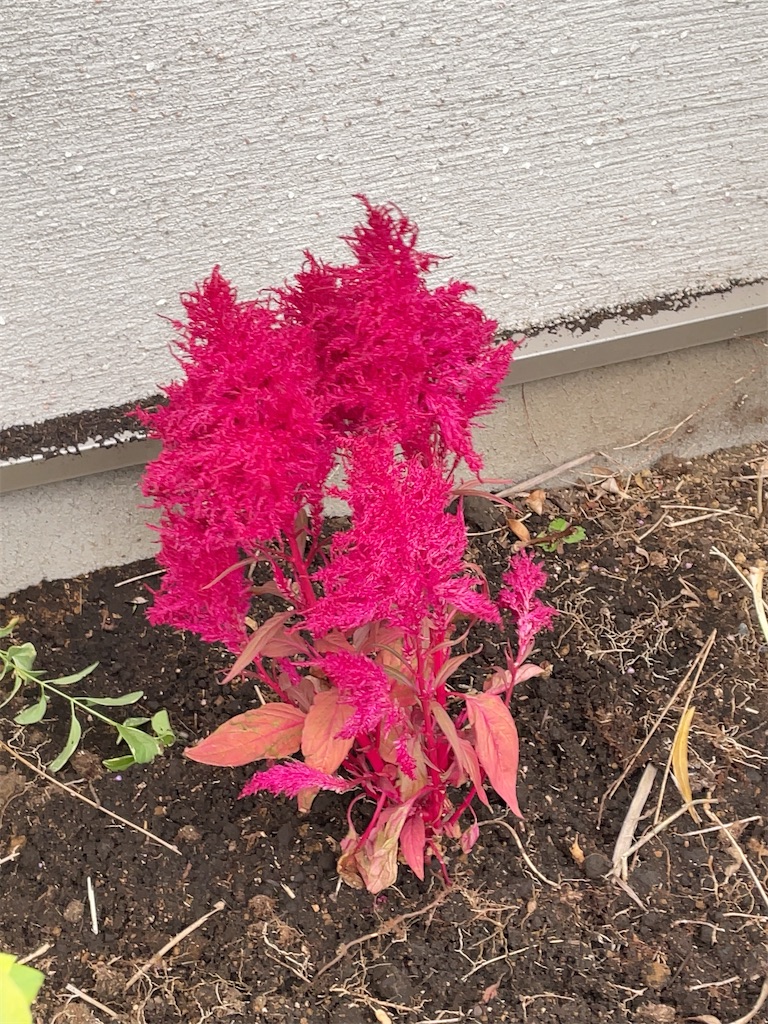 f:id:hokuto5819:20251020162234j:image