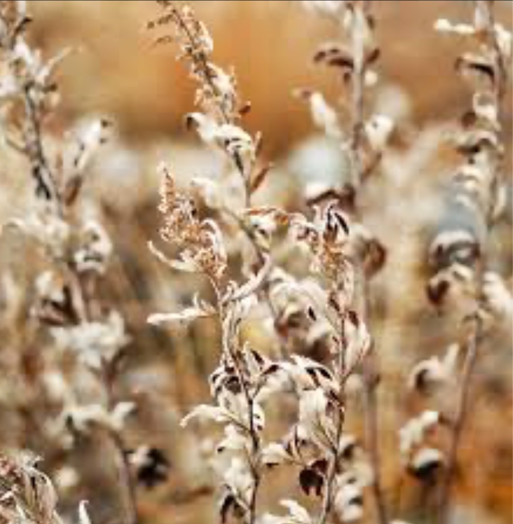 f:id:hokuto5819:20251020162251j:image