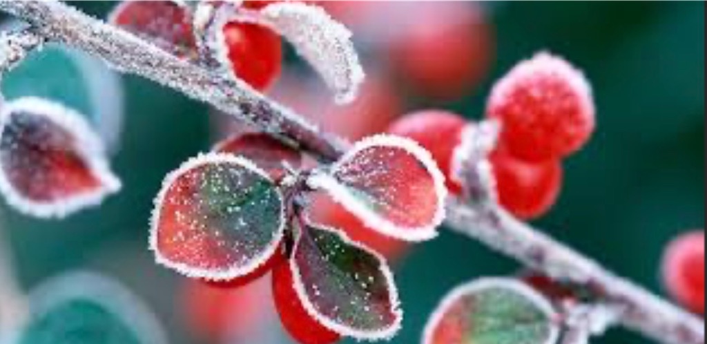 f:id:hokuto5819:20251020162304j:image