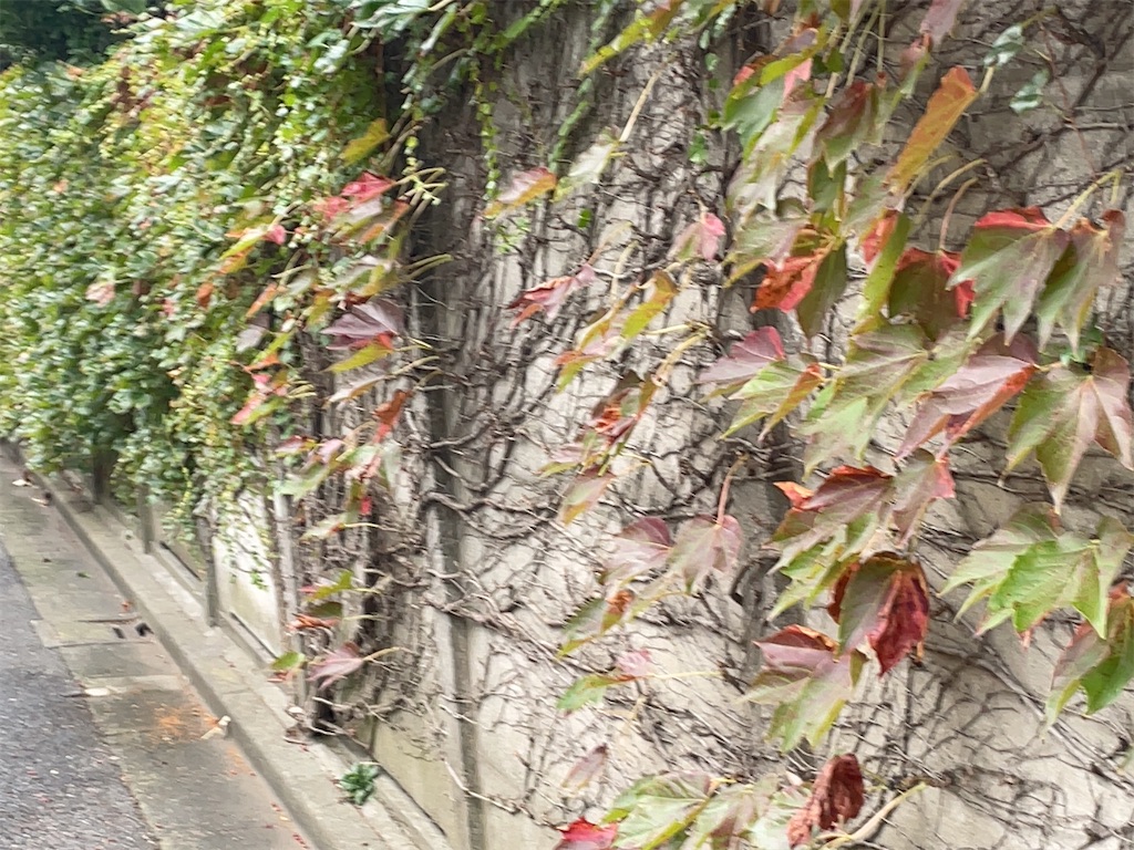 f:id:hokuto5819:20251020162346j:image