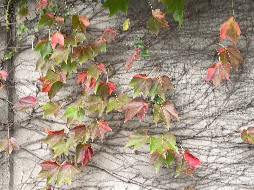 f:id:hokuto5819:20251020162352j:image