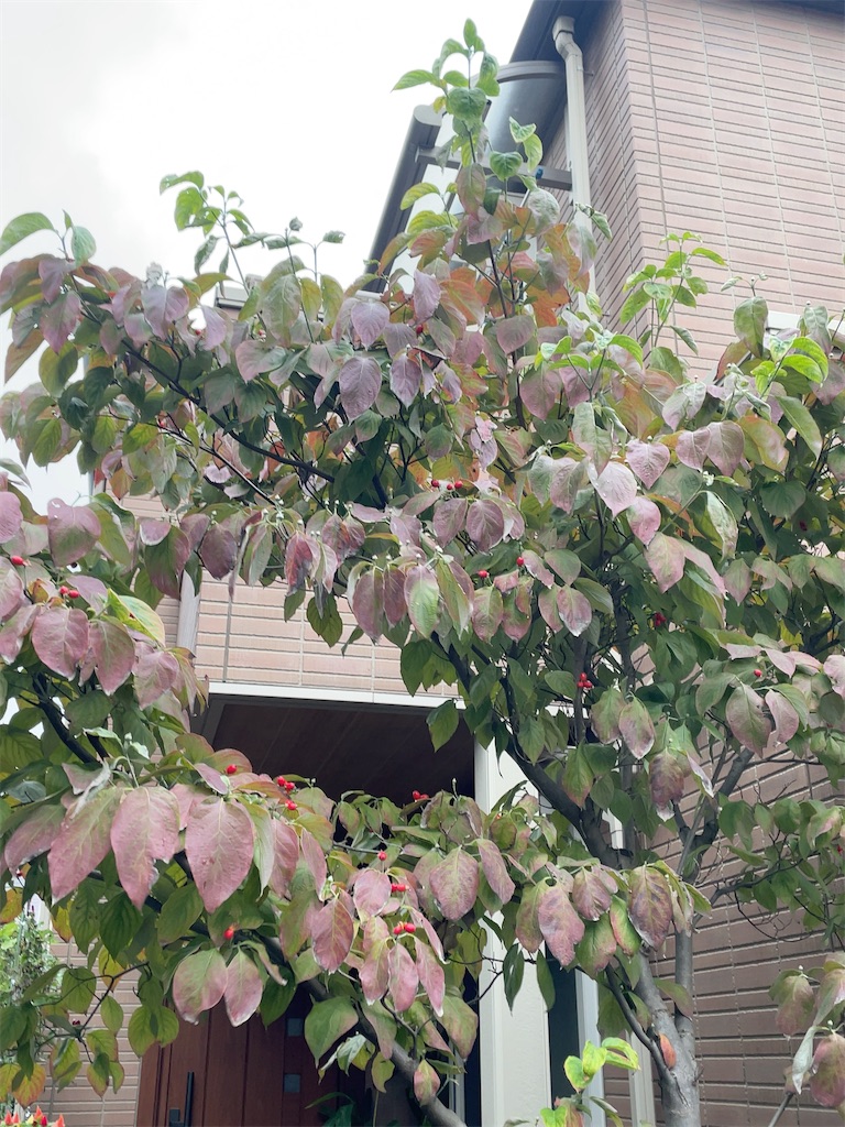 f:id:hokuto5819:20251020162424j:image