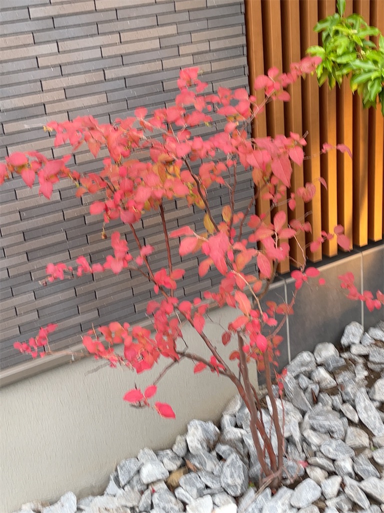 f:id:hokuto5819:20251020162440j:image